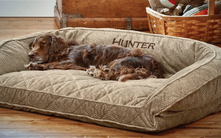 Hunter dog bed hotsell