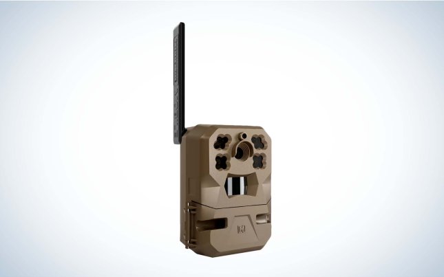 best cellular trail camera