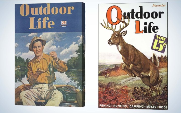  outdoor life cover art