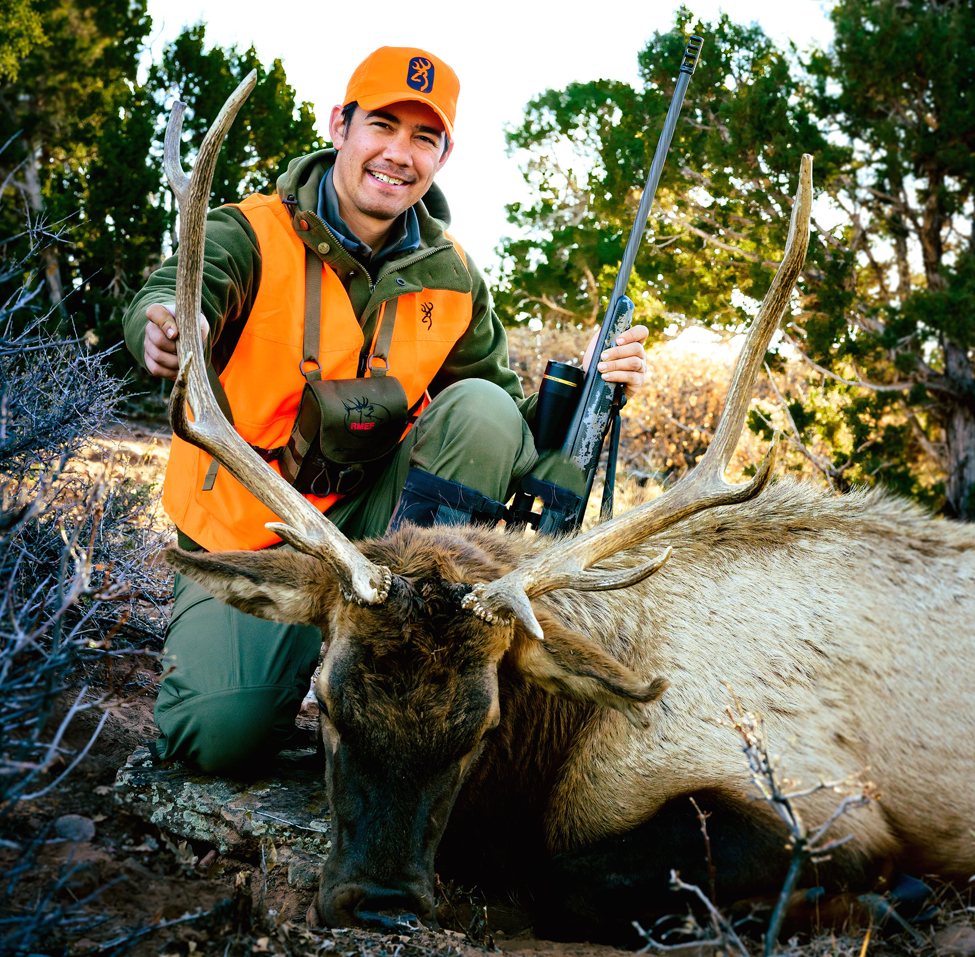 bull elk