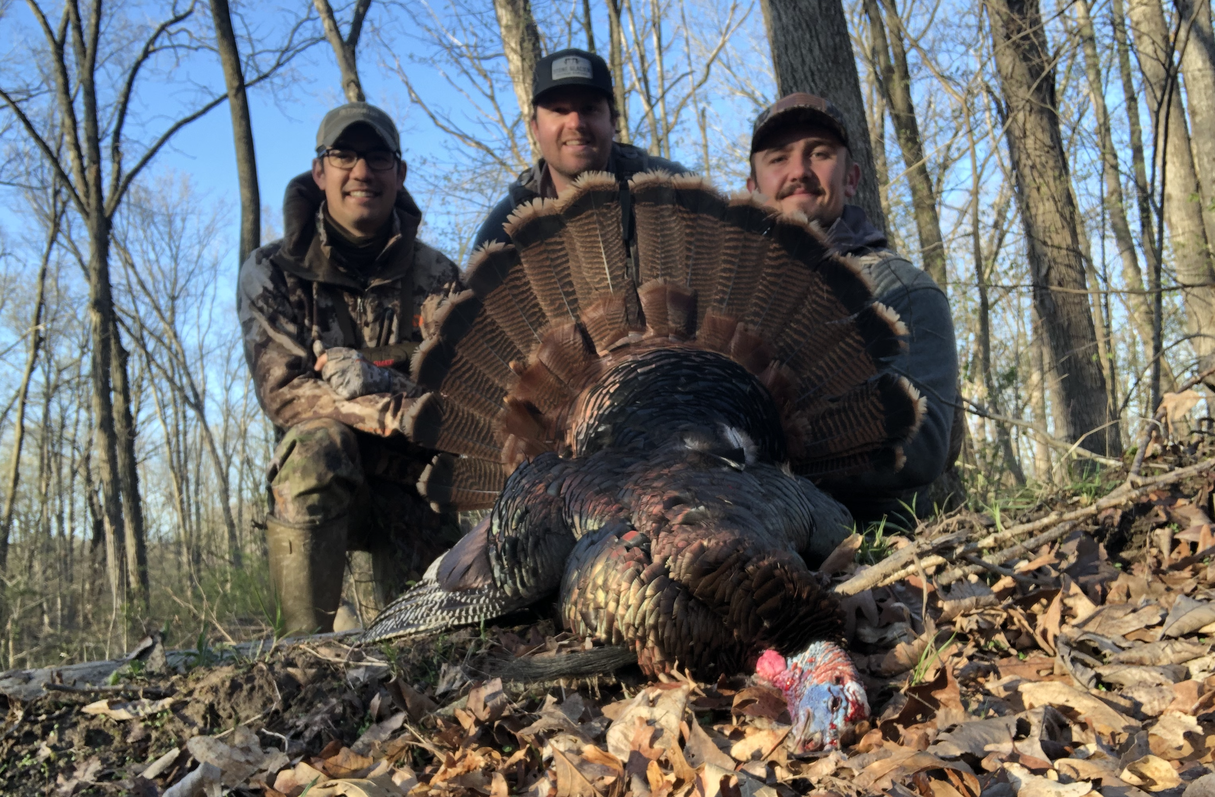 Turkey hunting forecast in Illionis.