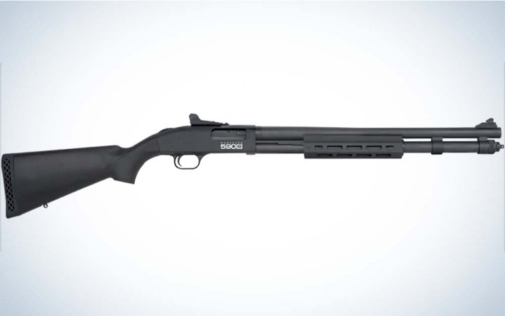  A black shotgun