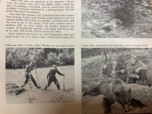 Arrow for a Grizzly: A Classic Fred Bear Story and Video | Outdoor Life