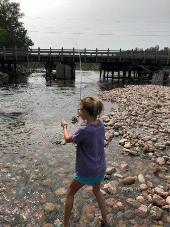 Fly fishing for beginners