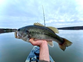 Best Swimbaits for Bass | Outdoor Life