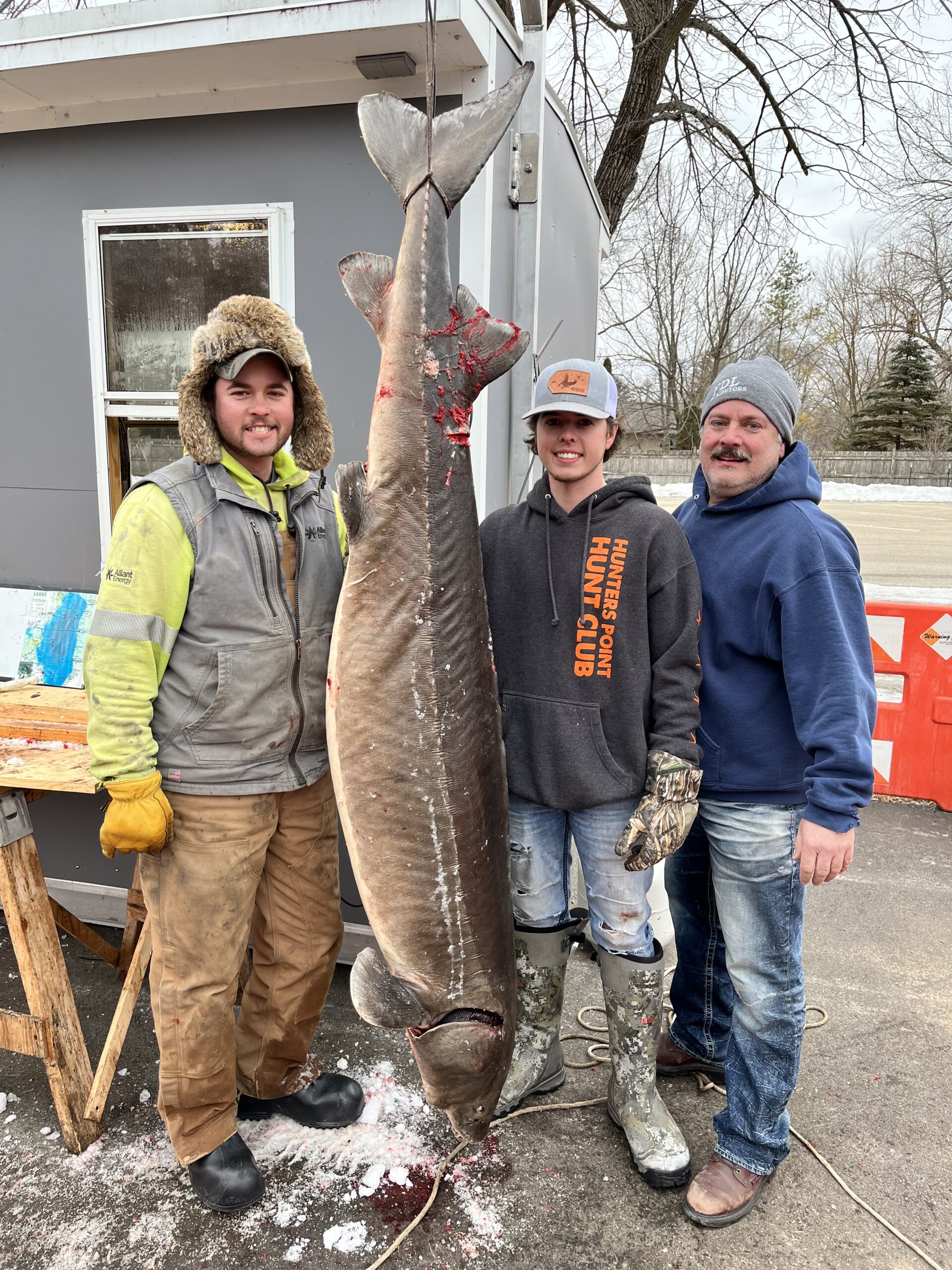 A huge speared sturgeon from Lake Winnebago.