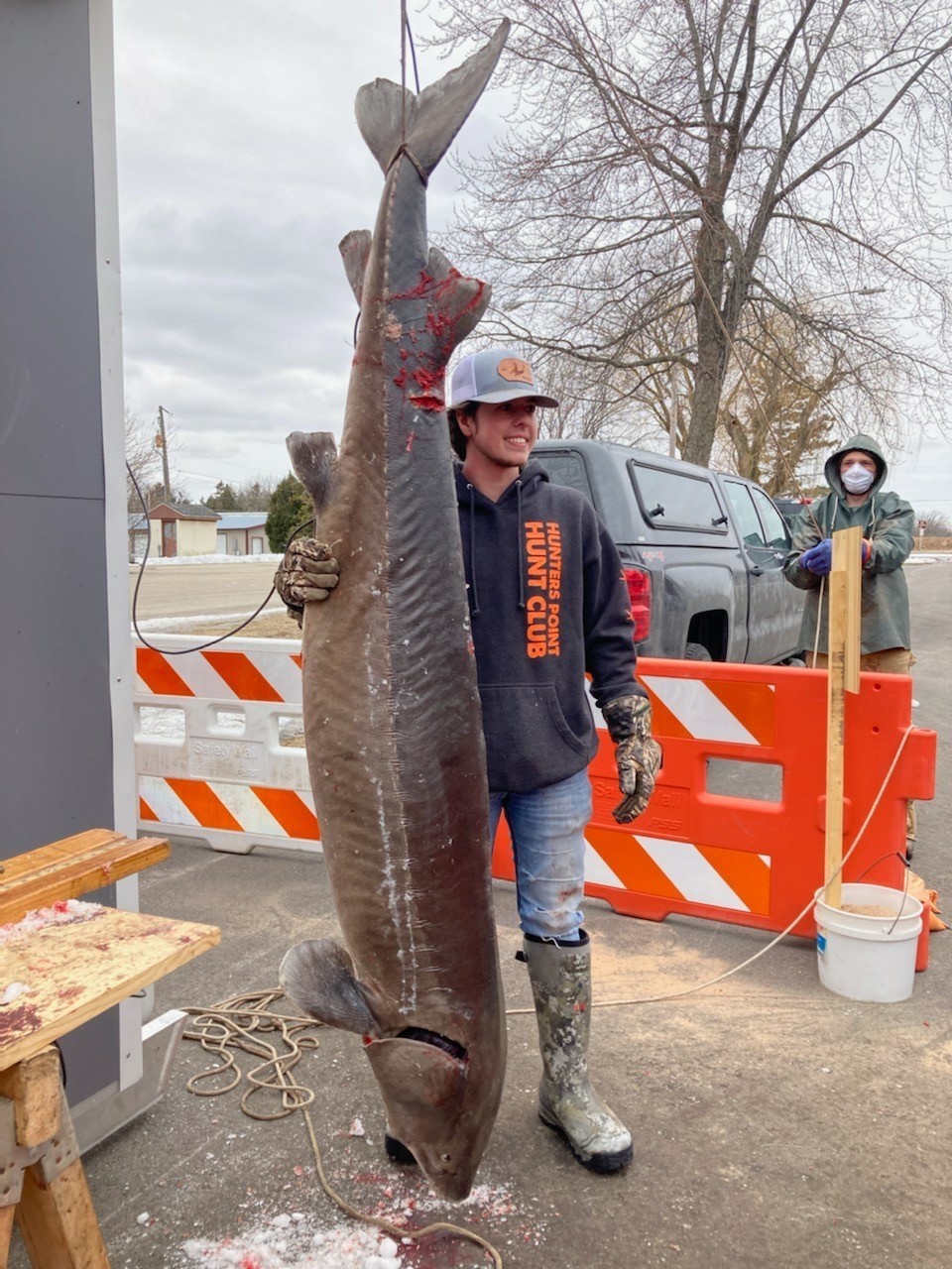 A speared sturgeon from lake winnebago.