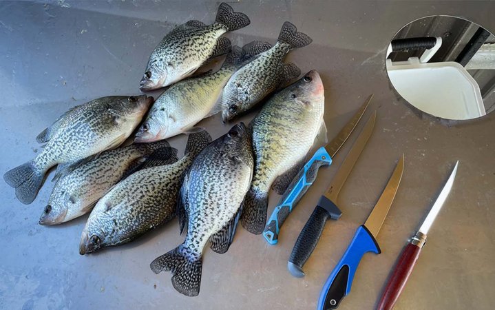 A pile of fish next to three of the best fillet knives