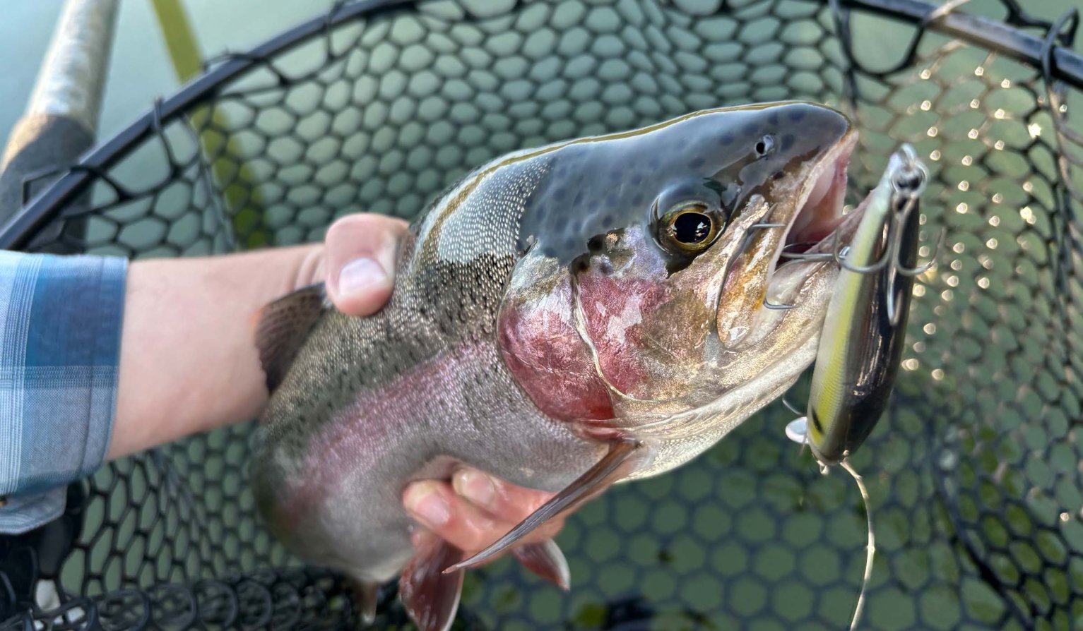 The author tested the best trout lures in a wide variety of locations.