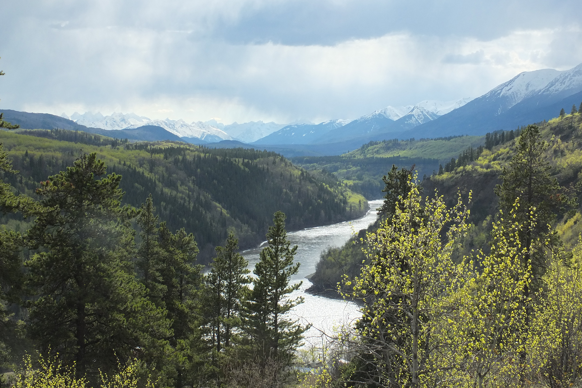 The Stikine River