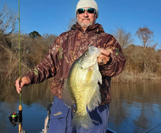 Giant Louisiana Crappie Nearly Beats State Record