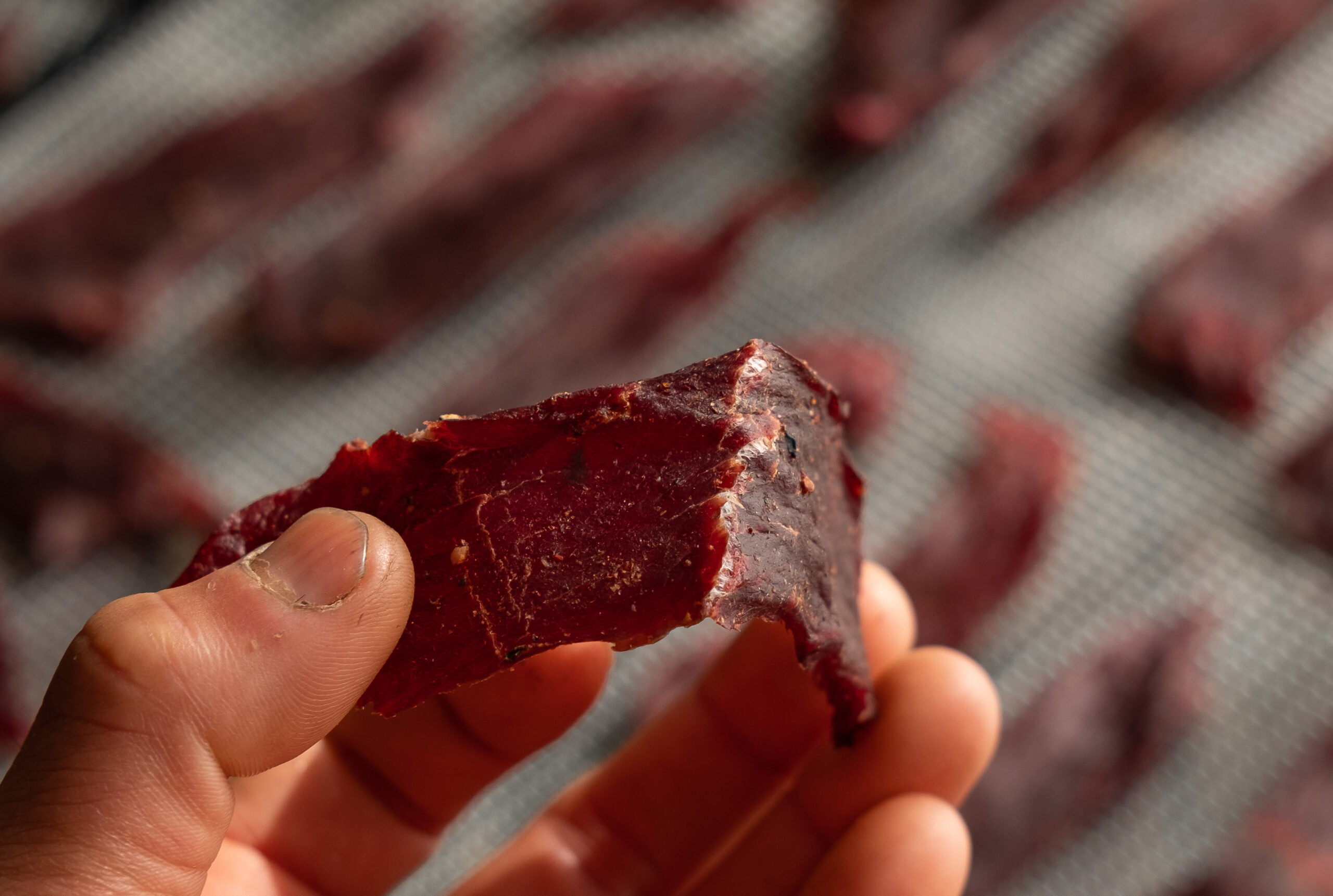 Deer Jerky Recipe - Chipotle Venison Jerky Recipe