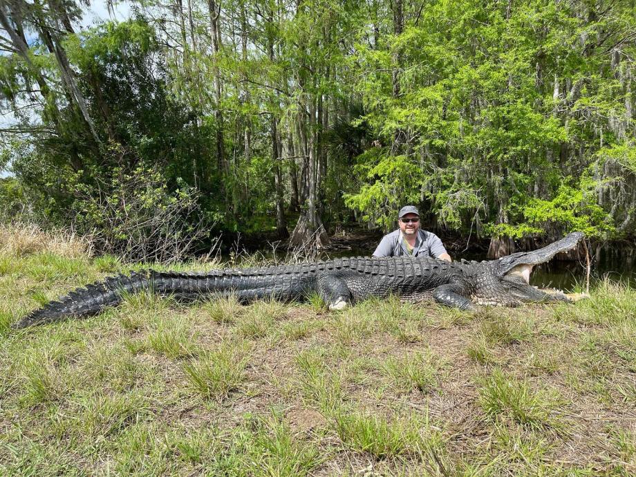 24-Year-Old Dog Collar Tags Found in Giant Gator's Belly | Outdoor Life