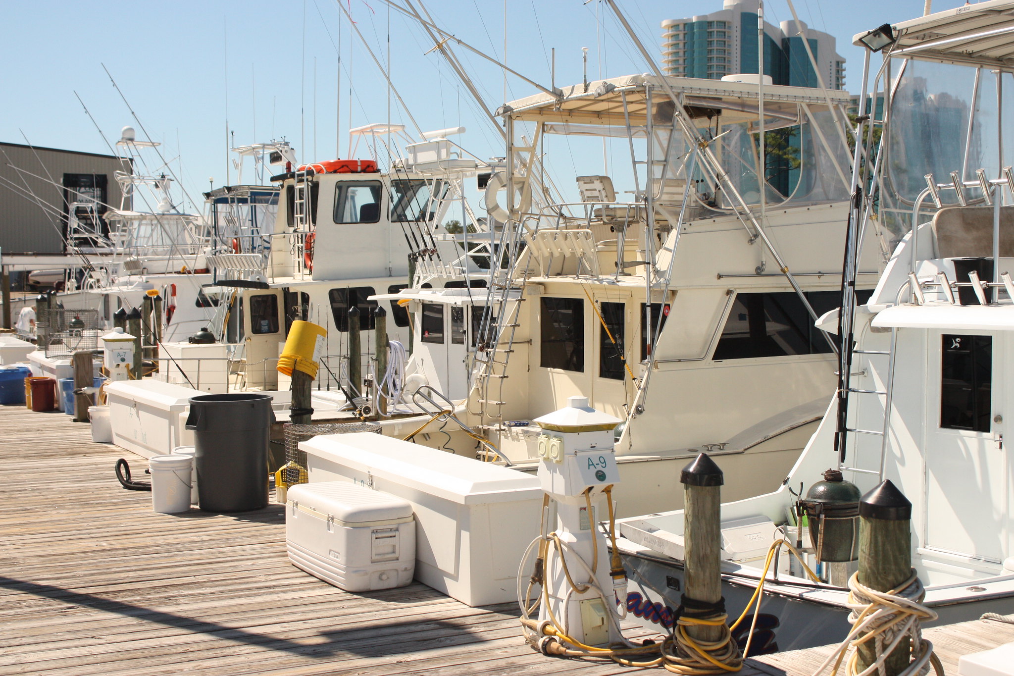 alabama charter boats