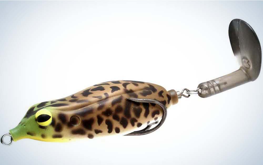 5 Favorite Lures for Spring Bass Fishing - Realtree Camo