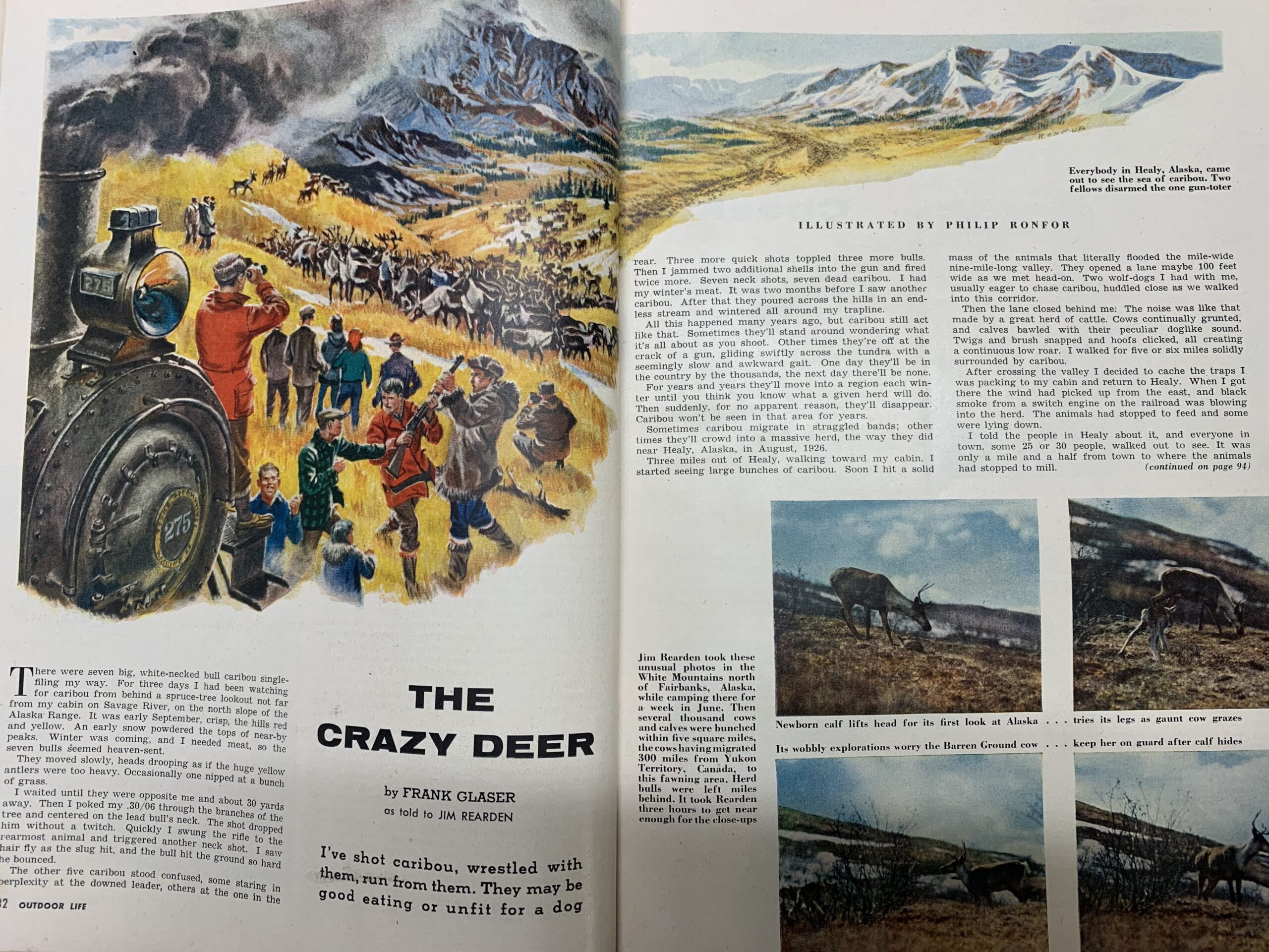 Caribou Stories From the Archives: The Crazy Deer by Frank Glaser