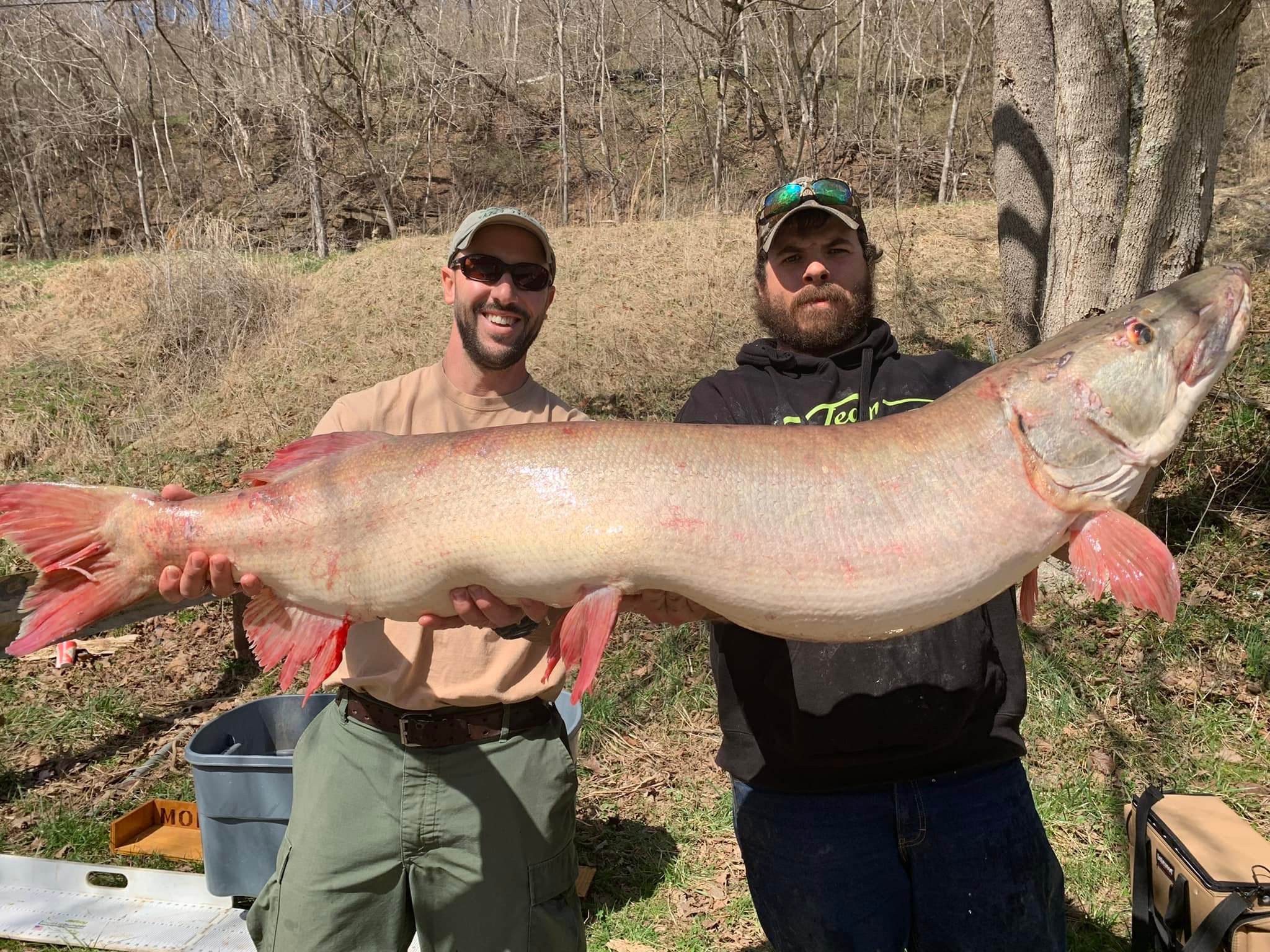 west virginia record muskie