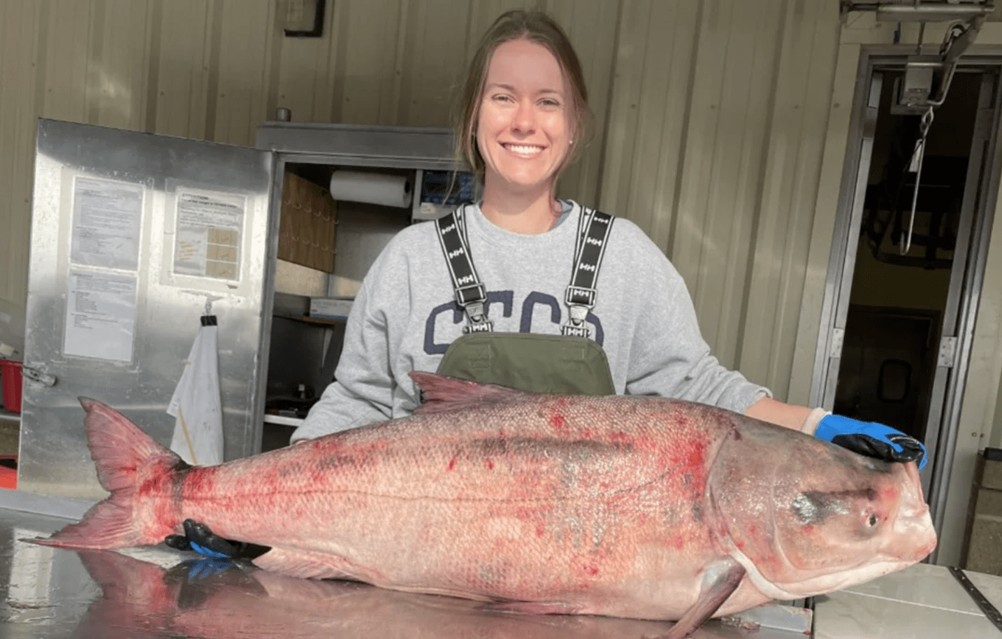 oklahoma bighead carp