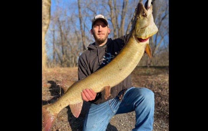 ID] Is this a Northern Pike or Muskie? Caught in Pittsburgh on a spinner  bait while fishing a dam for smallies. : r/Fishing