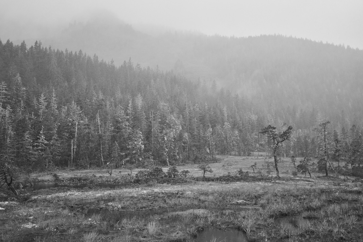 The Tlingit Legend of the Kóoshdaa Káa | Outdoor Life