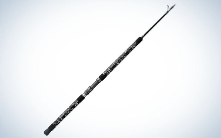  A black best saltwater fishing rod