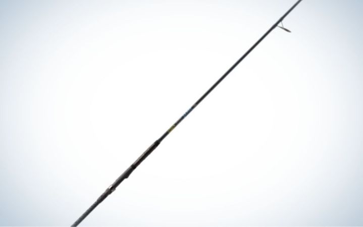  Ugly Stik Bigwater Conventional Fishing Rod, Black/Red/Yellow,  10' - Medium - 12-30lb - 2pc : Sports & Outdoors