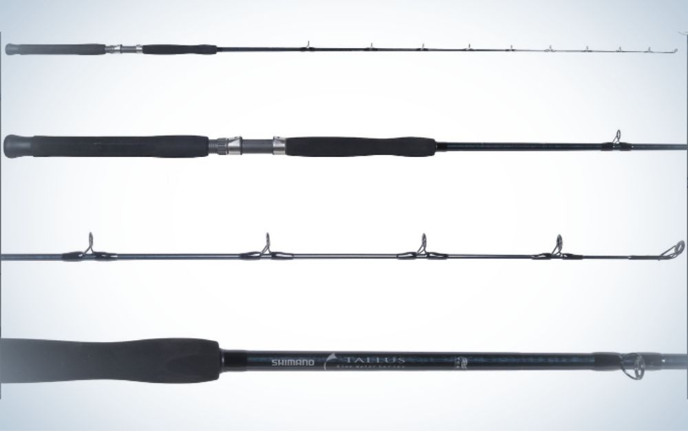 All Species Saltwater Trolling Rod Heavy Fishing Rods & Poles for