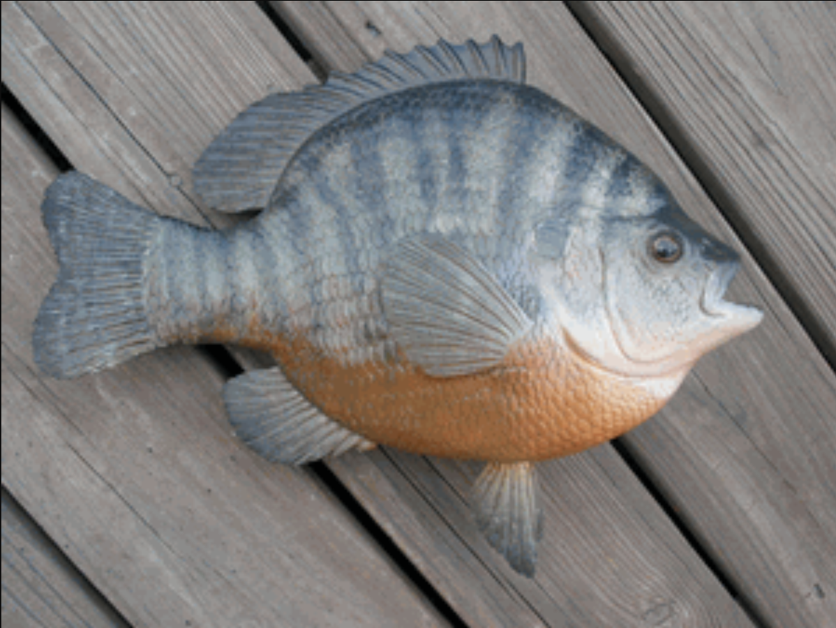 The world record bluegill replica.