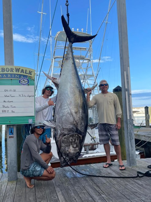 832-Pound Bluefin Could Be Florida's New State Record | Outdoor Life