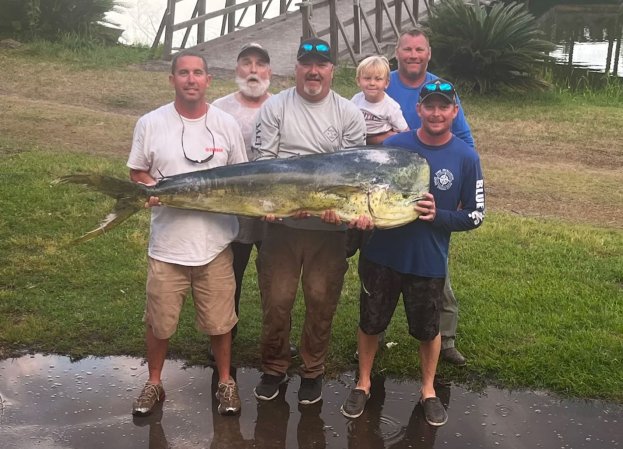 record mahi-mahi