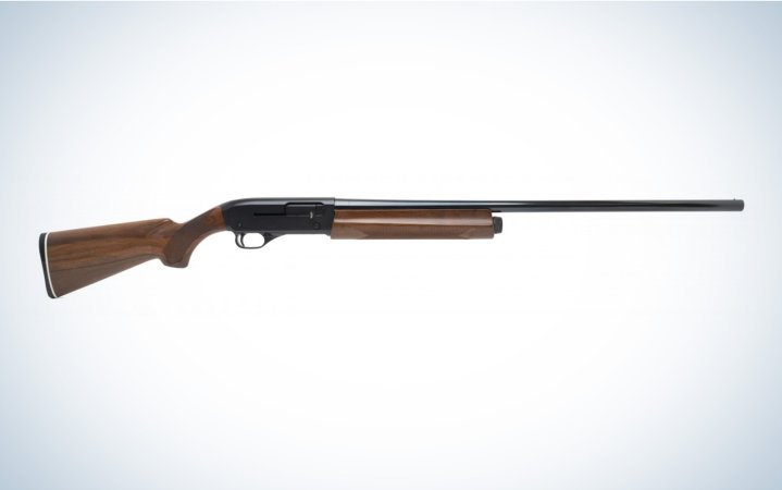  Winchester SX-1