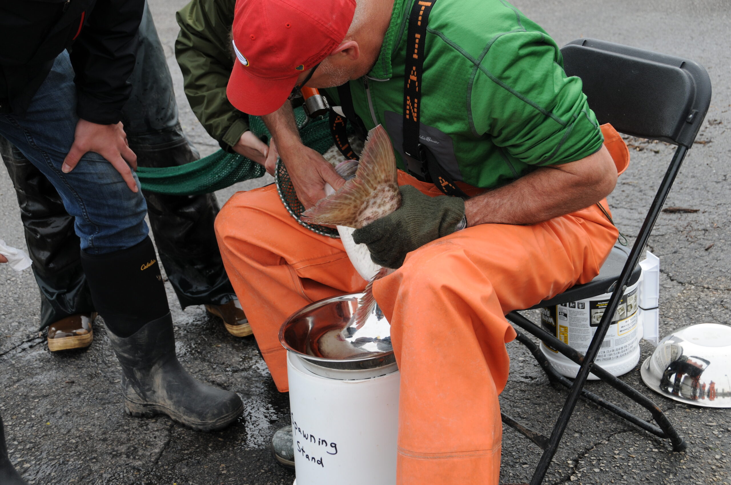 SRH 3213 scaled Wisconsin DNR: “ It’s Very Possible That a World Record Muskie Is Swimming in Green Bay”