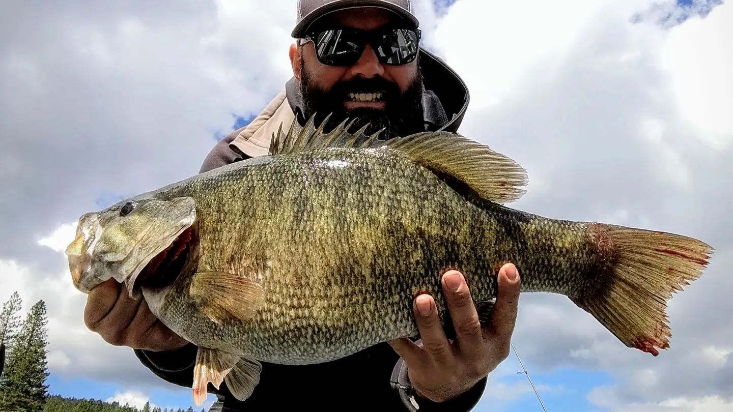 travis wendt idaho smallie