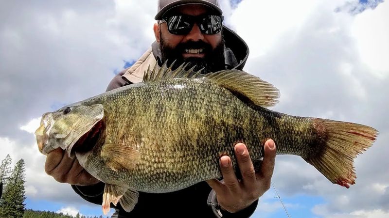 Smallmouth bass fishing Indiana 
