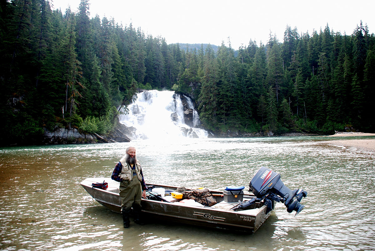 Brown bear research.