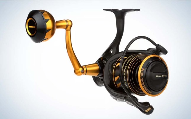 Lightweight Fishing Reel, Small Black and Yellow Fishing Reel for  Beginners, 11 Super Smooth Stainless Steel Bearings, Suitable for  Freshwater brine (Size : 4000) : : Sports & Outdoors