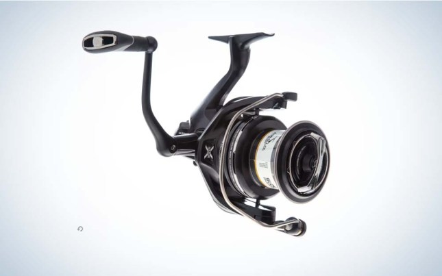 Best Surf Fishing Reels of Upcoming year  Ultimate Gear Guide and Reviews  