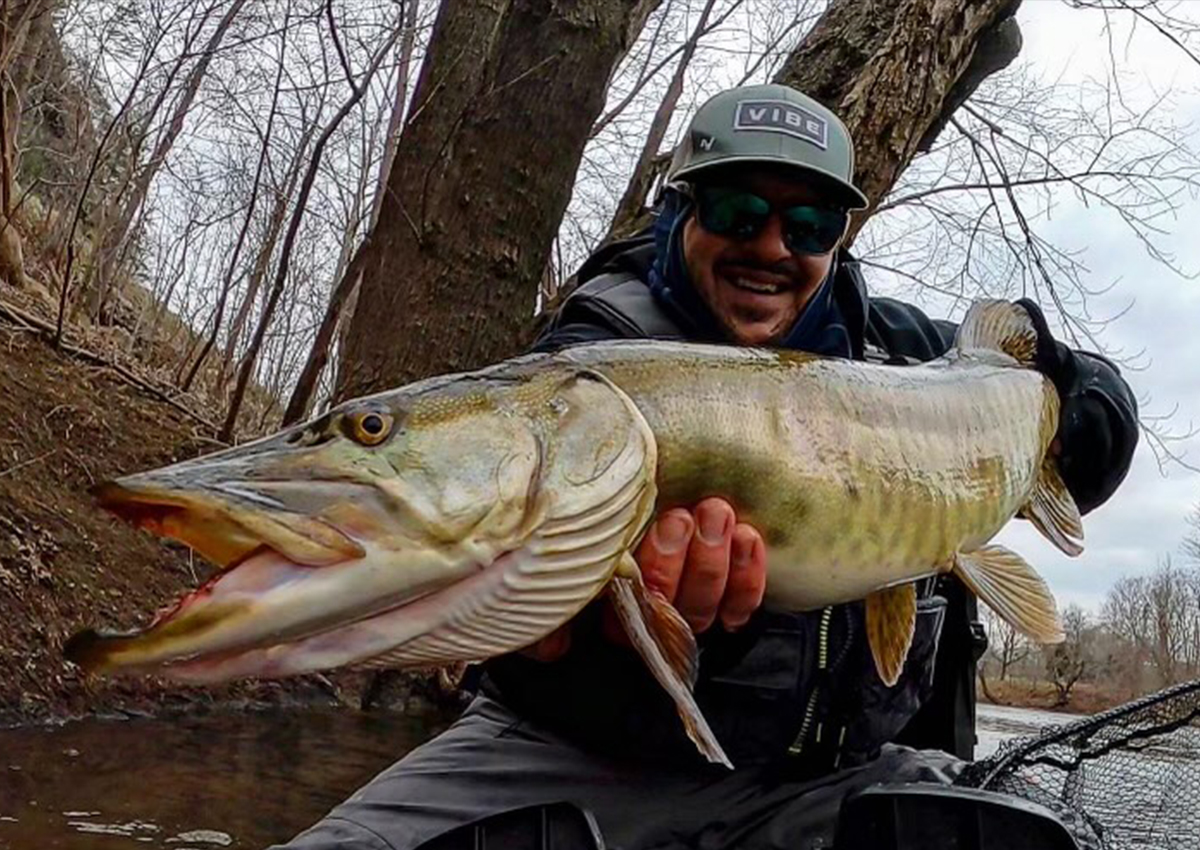 Can't wait for open water to try out this budget Pike and Muskie setup.  8.1:1 Piscifun Alijos 300, Shimano Sojourn Muskie 7'6” medium heavy, 50lb  Diawa J-braid. : r/Fishing