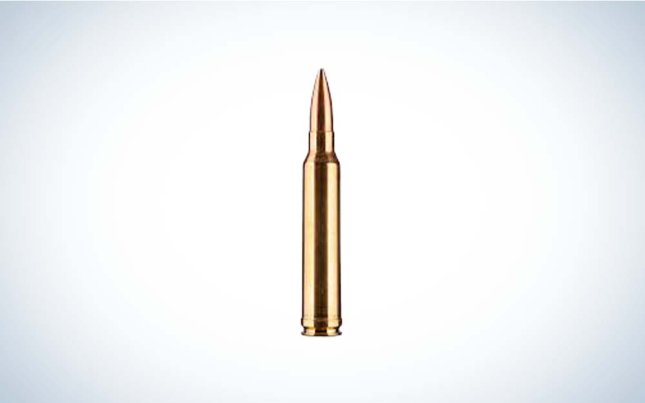 300 win mag cartridge