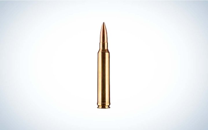  300 win mag cartridge