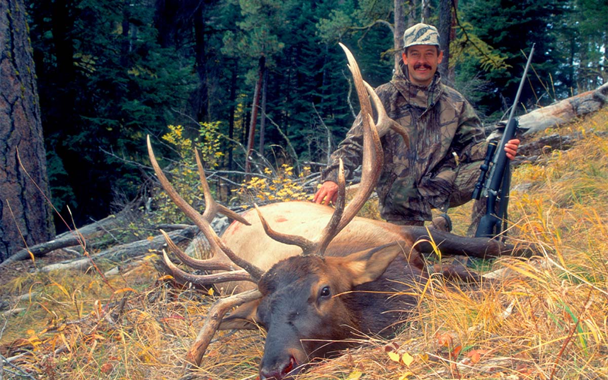 Best Calibers for Elk Hunting