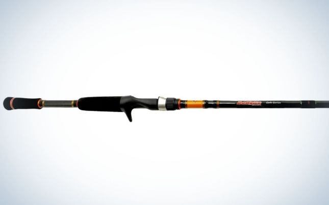 Best Budget Fishing Rods In 2023 - Top 10 Budget Fishing Rod