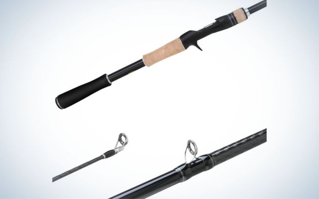 10 Best Shimano Baitcasting Rods 2024, There's One Clear Winner
