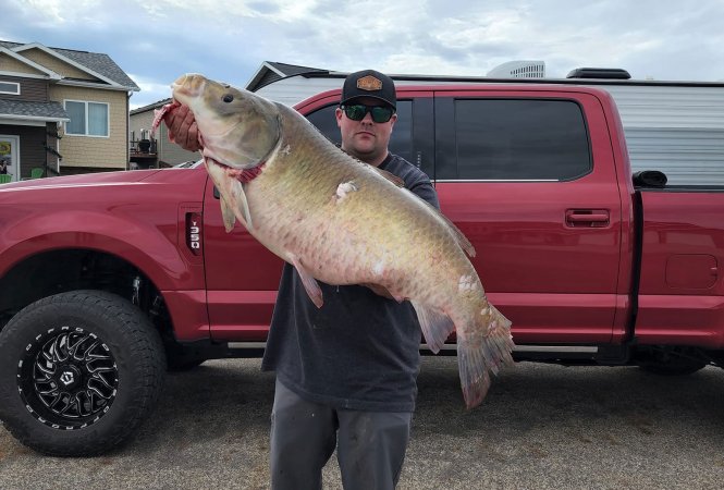 North Dakota Bow Fisherman Shoots Record Bigmouth Buffalo