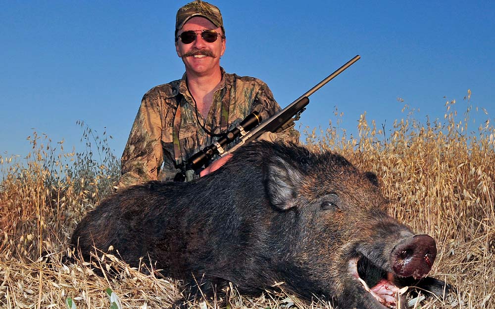 Hog hunting