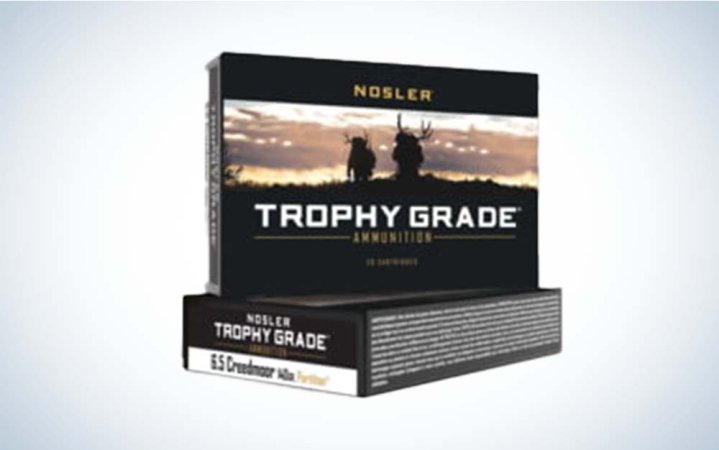  Nosler ammo