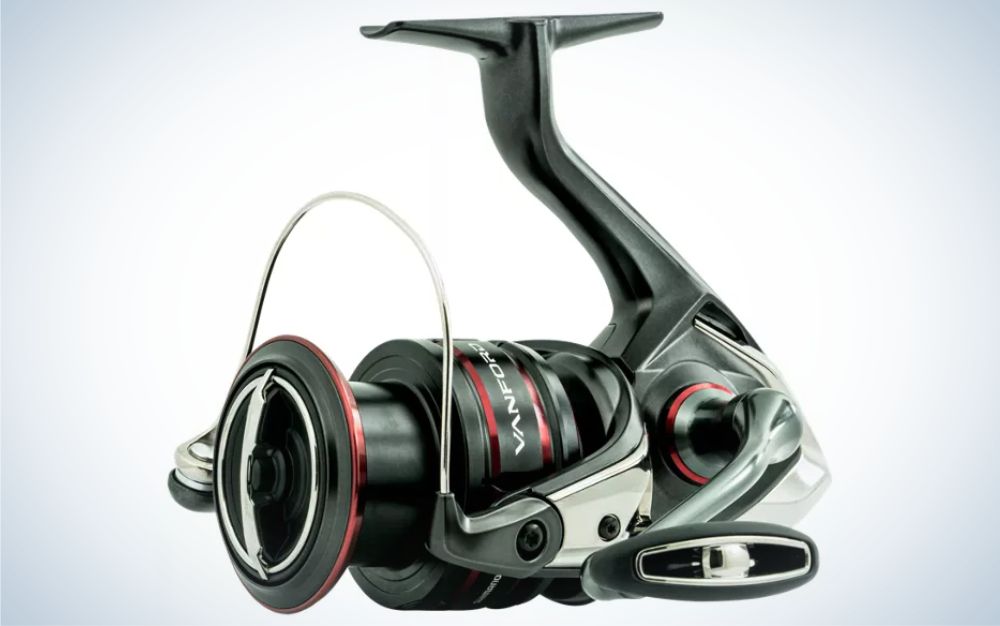 SPINNING vs. BAITCASTING Reels! - DON'T Choose the Wrong One! 