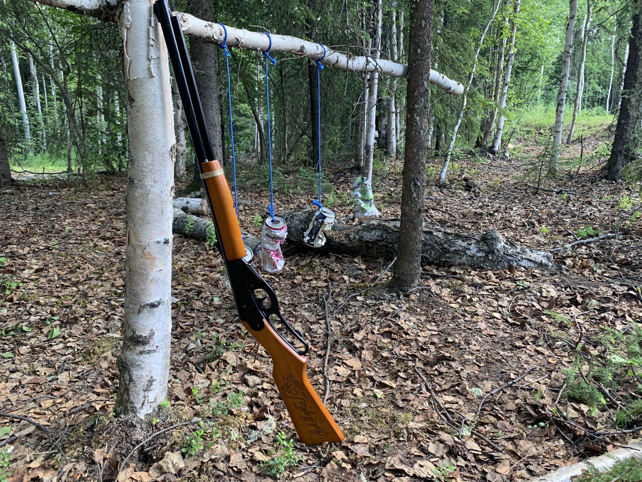 A simple backyard BB gun range