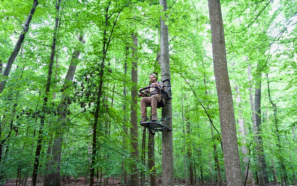 Best Climbing Tree Stands