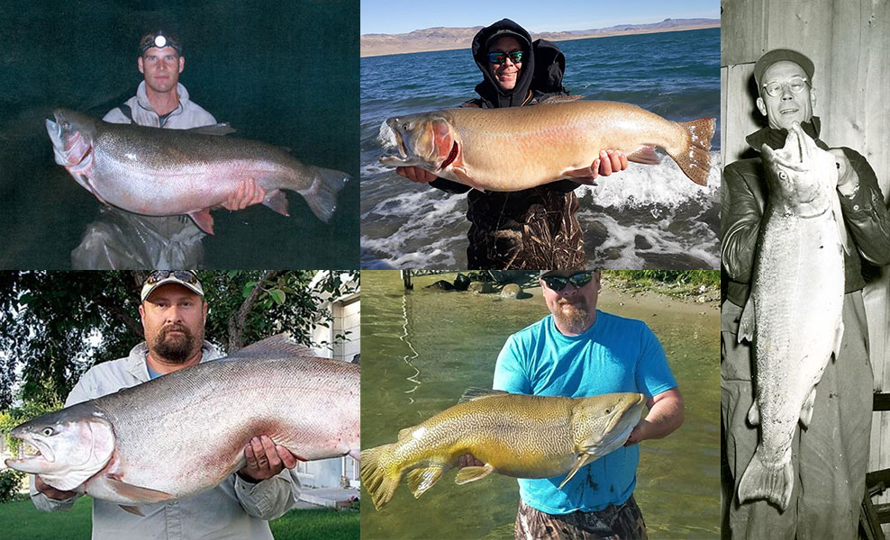For the Love of Copper! - Page 2 - Tackle and Techniques - Lake Ontario  United - Lake Ontario's Largest Fishing & Hunting Community - New York and  Ontario Canada